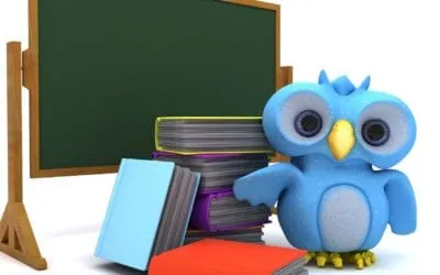 owl graphic